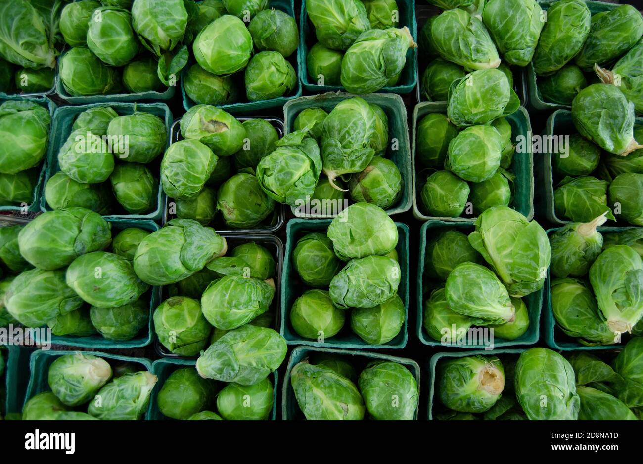 Looking down at Brussel Sprouts in Pint Green Molded Produce Basket Stock Photo