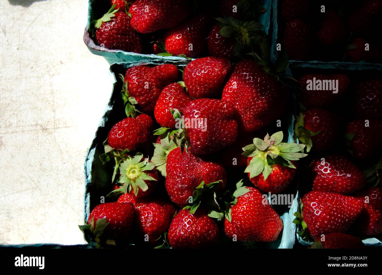 Rows of strawberries in containers for sale at the farmer market Stock