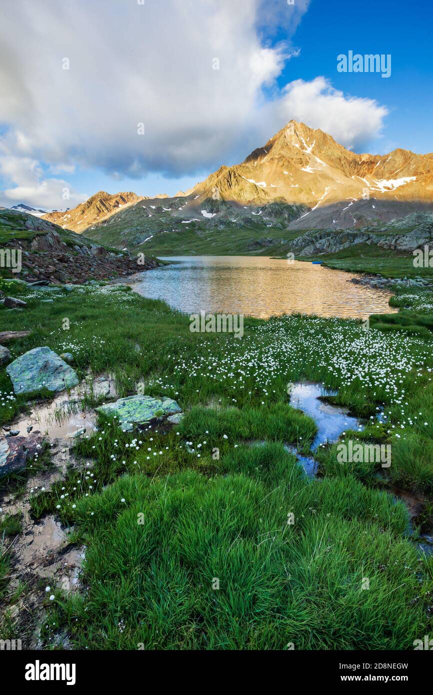 Ponte di legno in legno hi-res stock photography and images - Alamy