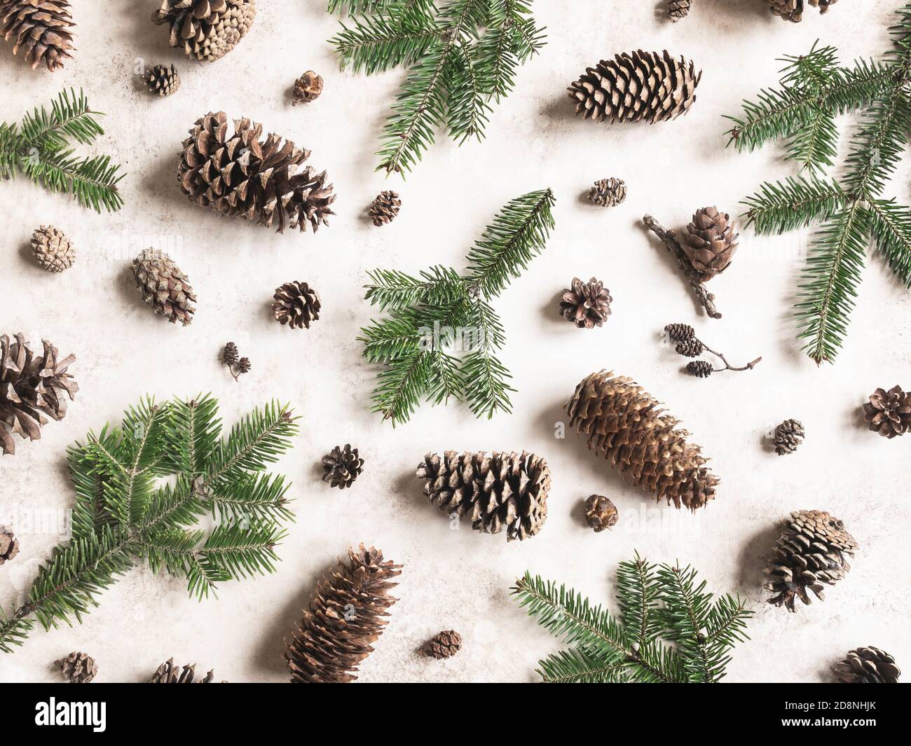 Collection of various conifers cones and branches on brown background. Christmas set various cones of sequoia, pine, spruce, fir. Botanical evergreen Stock Photo