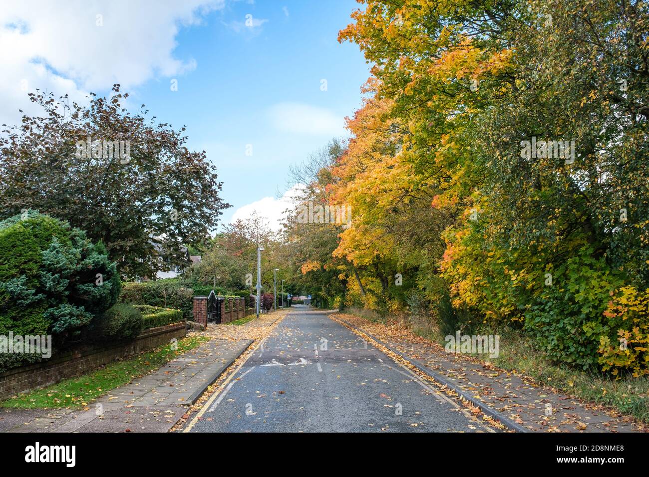 Spectacular autumn foliage in Bradford Road, Ellesmere Park, Eccles