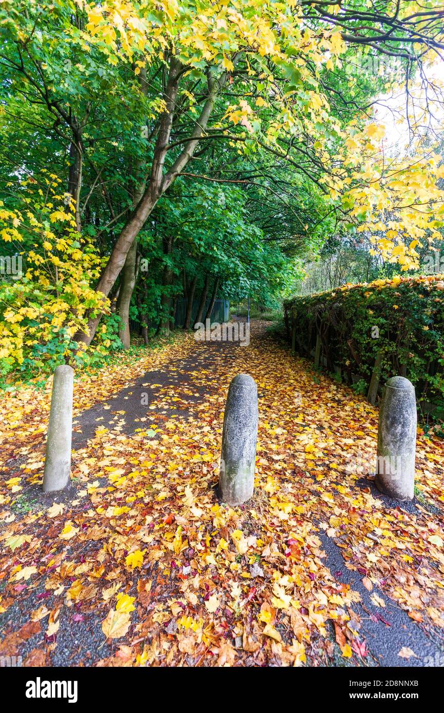 Autumn scene with posts and path, Ellesmere Park, Eccles, Salford