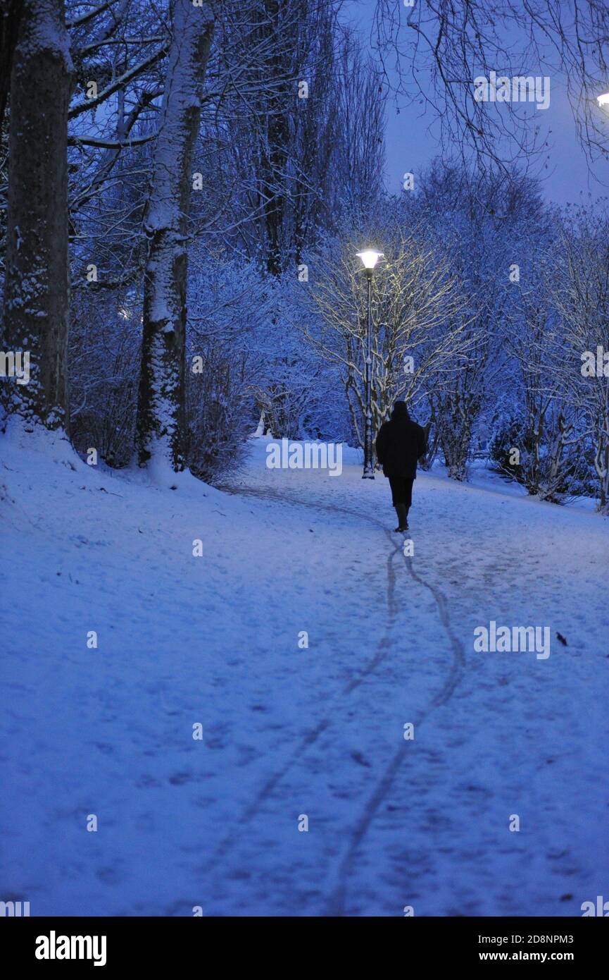 Alone in the snow Stock Photo - Alamy
