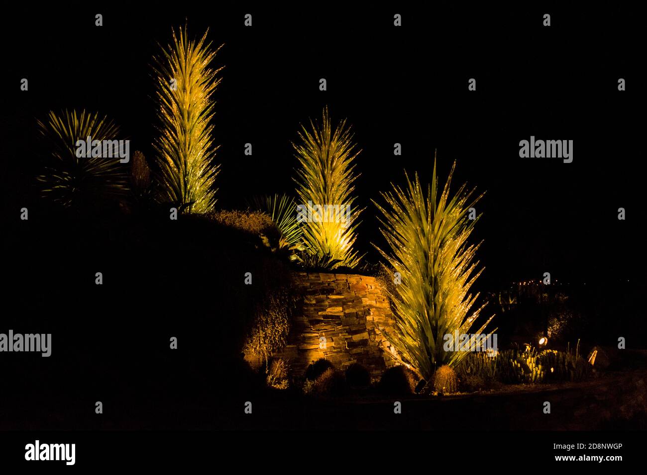 Desert Botanical Garden, Desert Towers Stock Photo