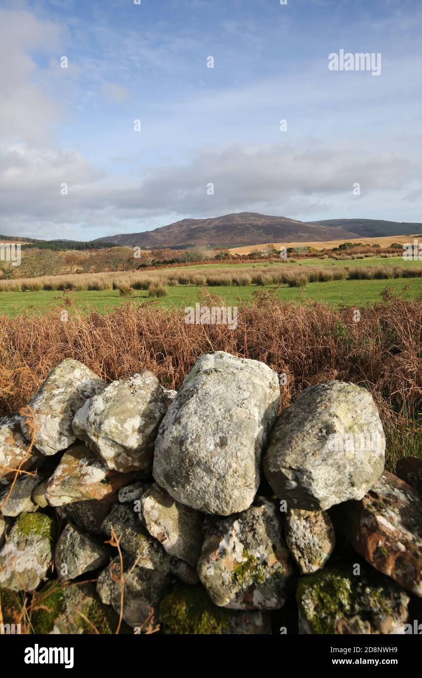 Isle of Arran, Ayrshire, Scotland, UK , Machrie Moor Stone Circle
