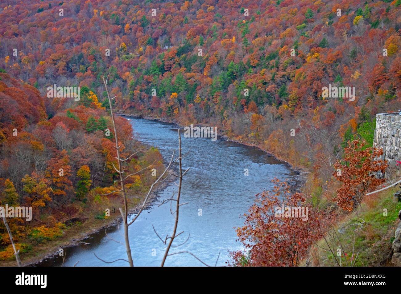 Delaware river and lush foliage of the northern part of Pocono