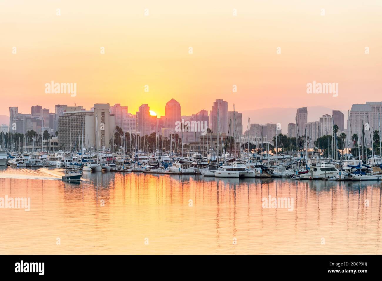 San Diego Harbor and San Diego Skyline. San Diego, CA, USA