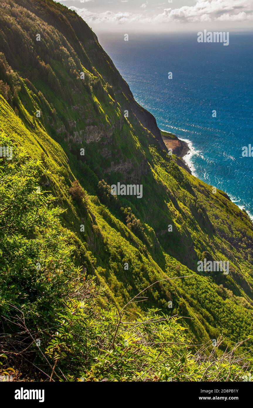 Sea cliffs from the mule trail, Kalaupapa National Historical Park