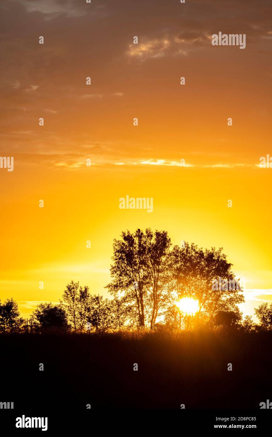 Sunrise, Minnesota, USA, by Dominique Braud/Dembinsky Photo Assoc Stock Photo