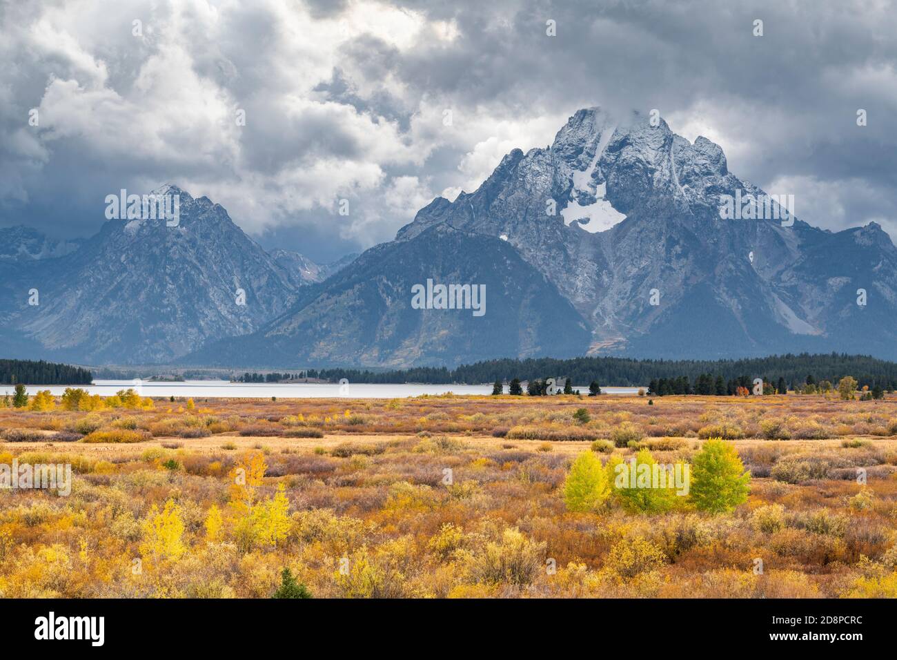 Grand Teton National Park, Willow flats & Mt Moran, Autumn, WY, USA, by