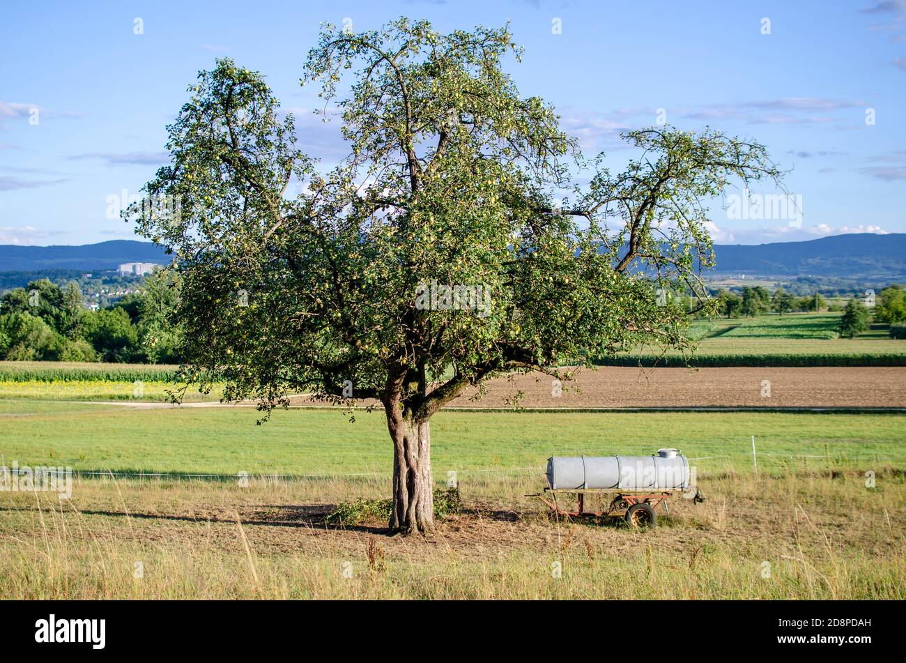 bucolic scene with tree and farm machine in field Stock Photo