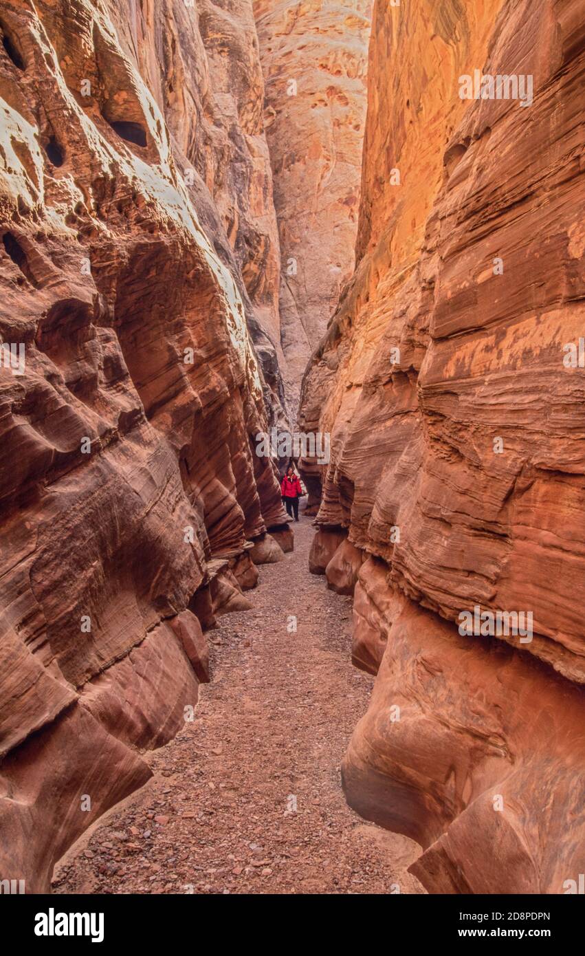 Bell Slot canyon in the San Rafael Reef near Goblin Valley State Park, Utah USA Stock Photo