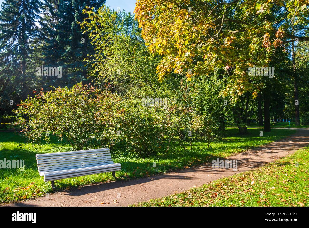 Green park white bench hi-res stock photography and images - Alamy
