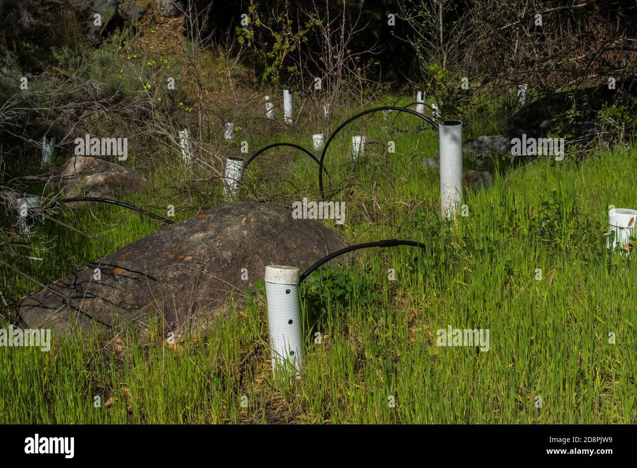 irrigation units for newly planted trees in stelzer county park, san diego ca us Stock Photo