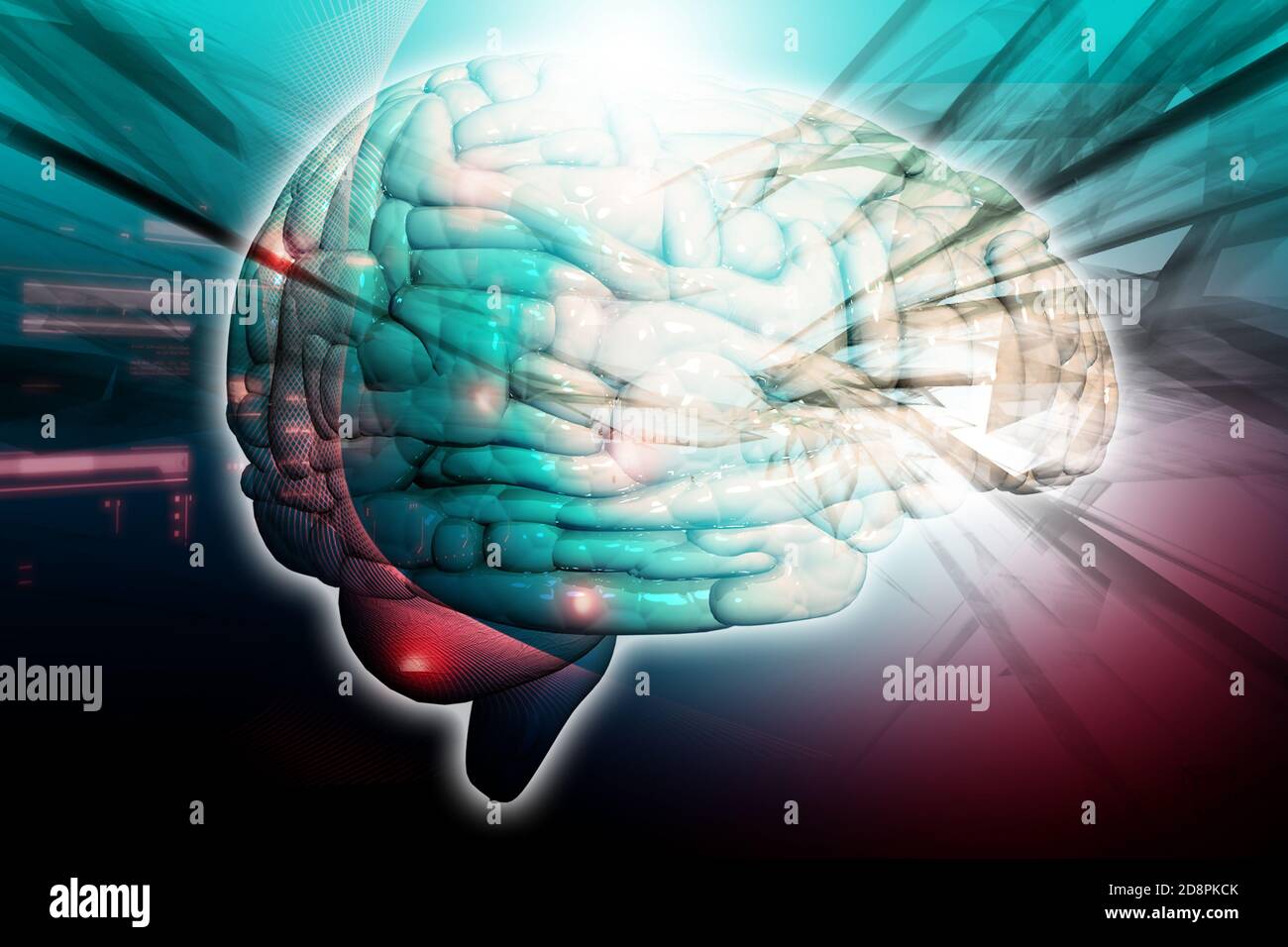 Understanding human anatomy hi-res stock photography and images - Alamy