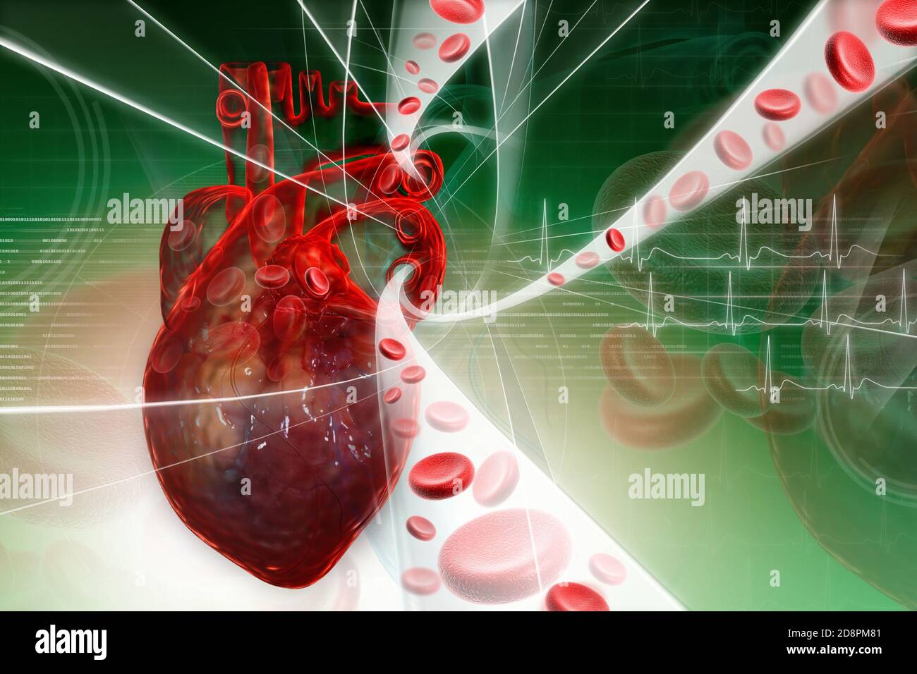 Heart pumping blood Stock Photo Alamy