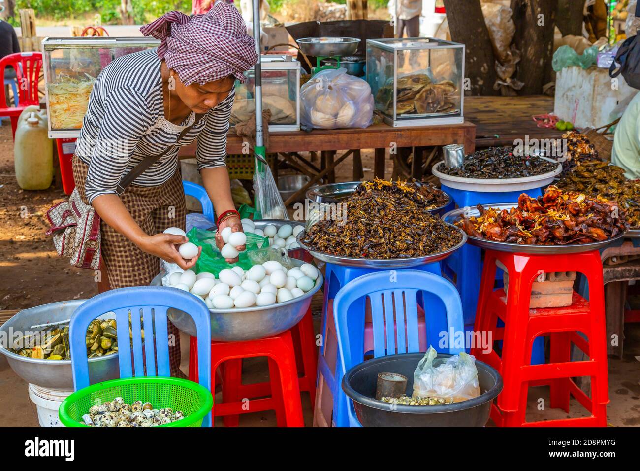 Eggs for sale at the Insect Market at Skun, Cambodia, Asia Stock Photo