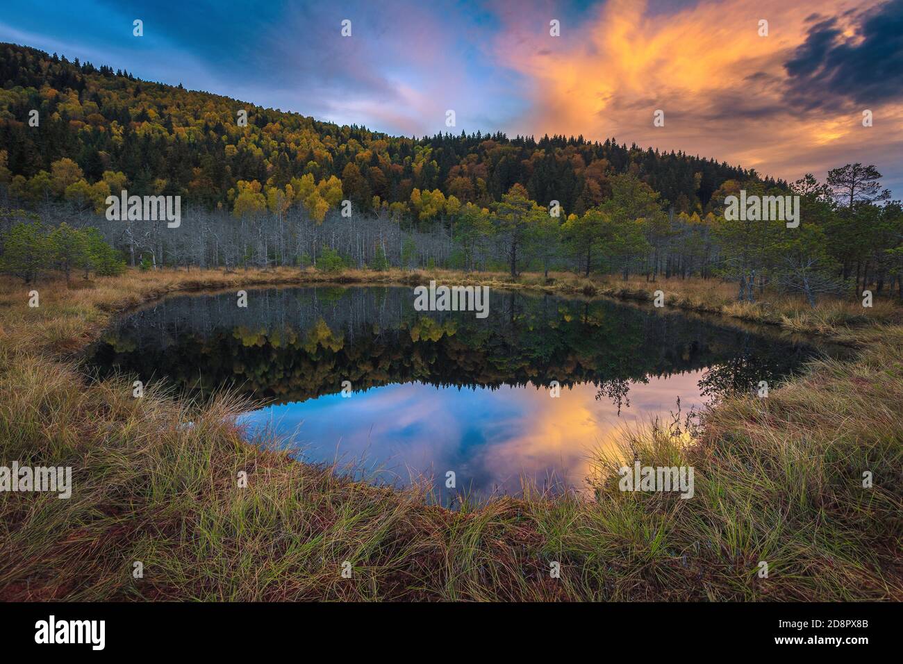 Beautiful autumn landscape with small lake in the swamp. Colorful autumn forest reflection on the water in the bog, Tinovul Mohos, Transylvania, Roman Stock Photo