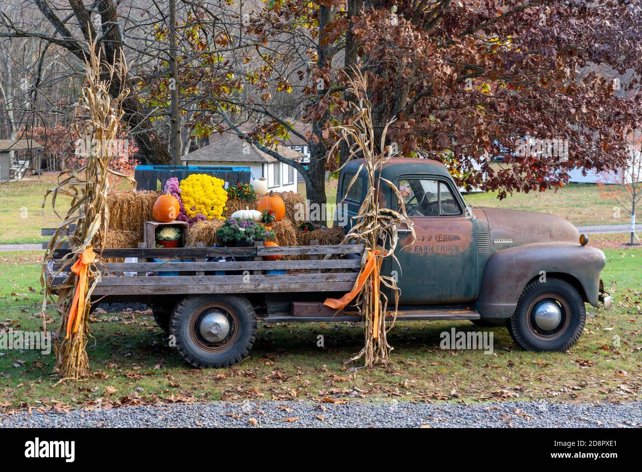 Pumpkins old truck agriculture hires stock photography and images Alamy