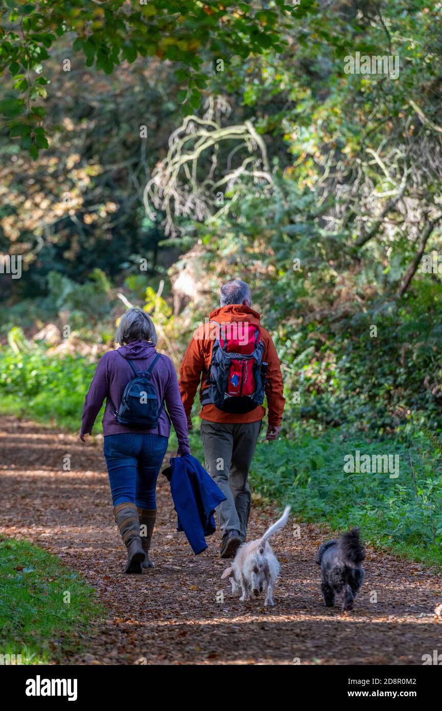 Mental health benefits fresh air outdoors walking hires stock