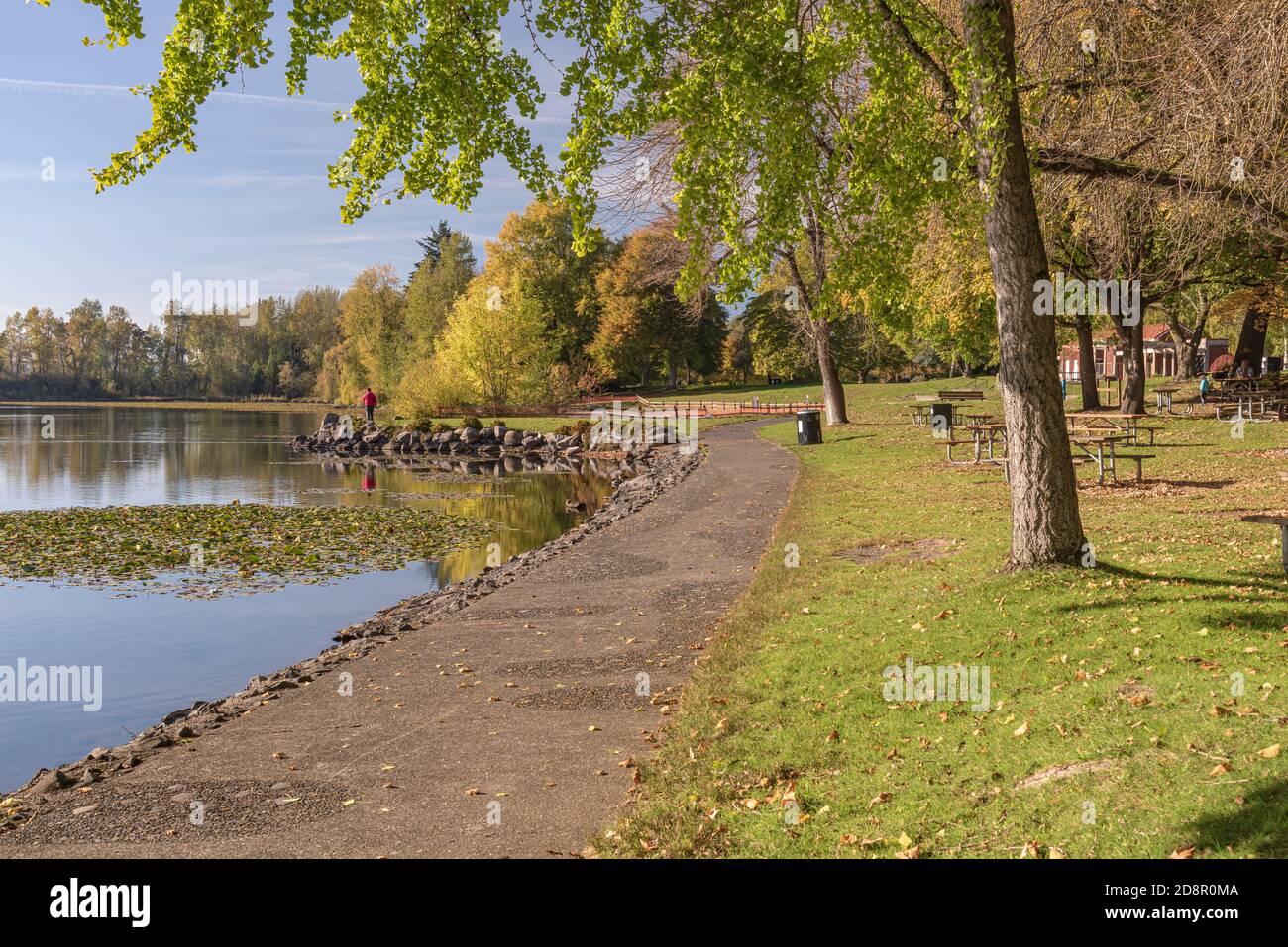 Colorful Autumn colors in Blue Lake park Oregon state Stock Photo - Alamy