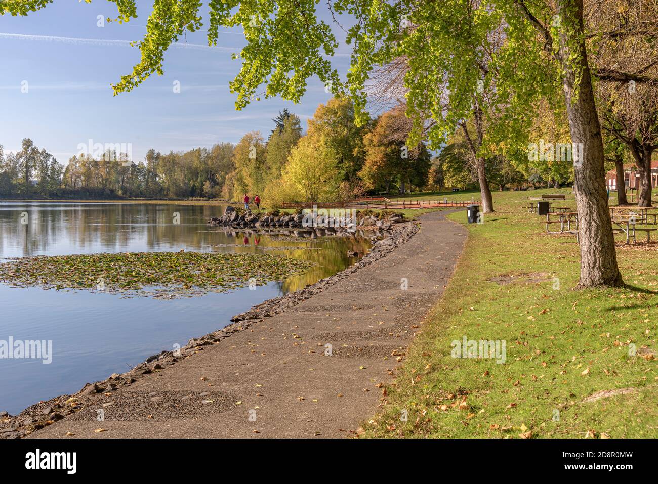 Colorful Autumn colors in Blue Lake park Oregon state Stock Photo - Alamy