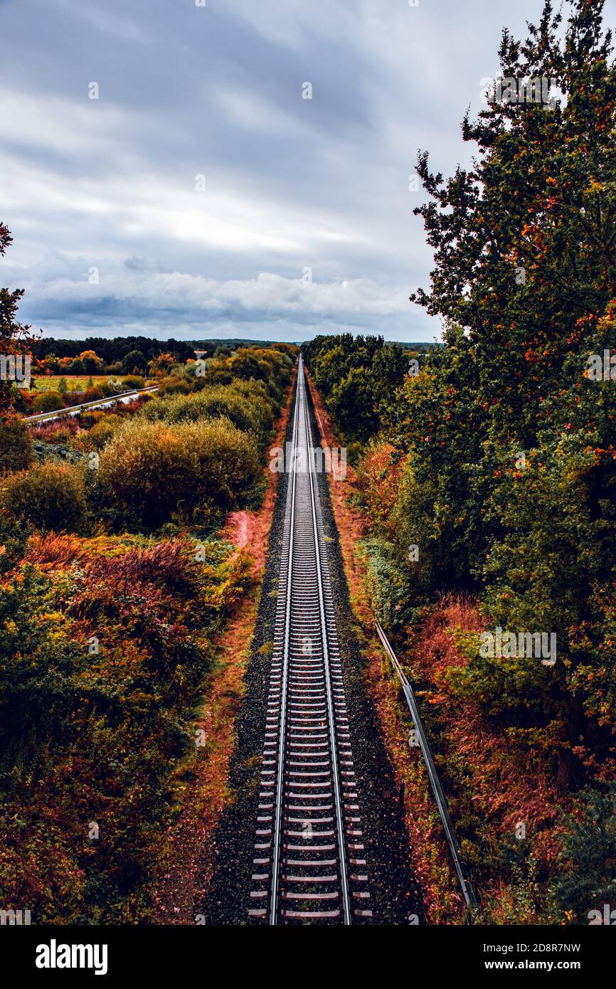 Vertical shot of a railroad through an autumn forest Stock Photo - Alamy