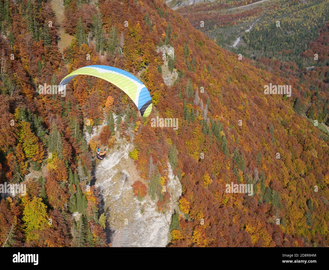 AIR-TO-AIR VIEW. Paraglider soaring above a forest with resplendent fall colors. Sixt-Fer-à-Cheval, the Giffre Valley, Haute-Savoie, France. Stock Photo