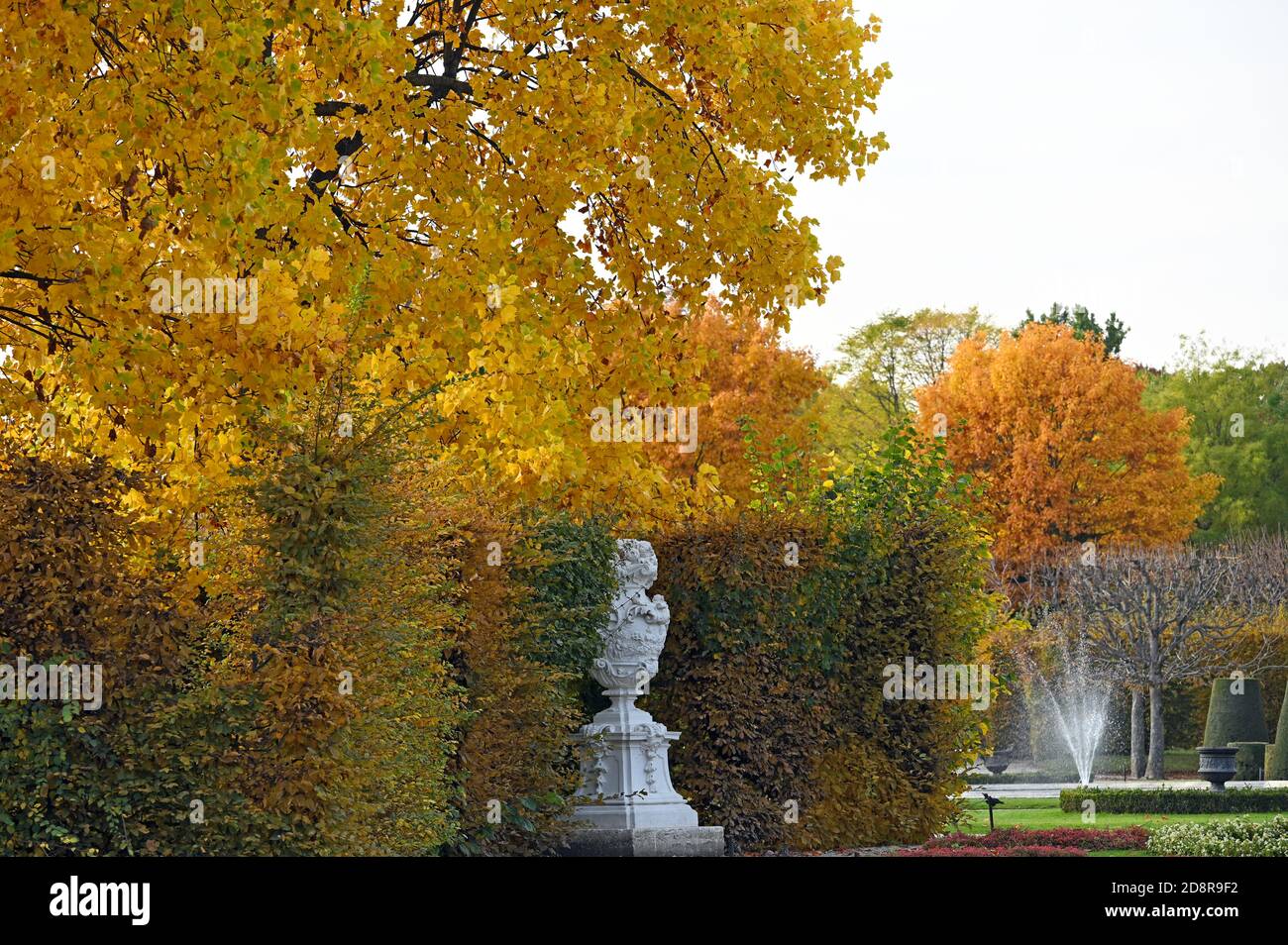 park and trees with colorful leaves autumn season Stock Photo - Alamy