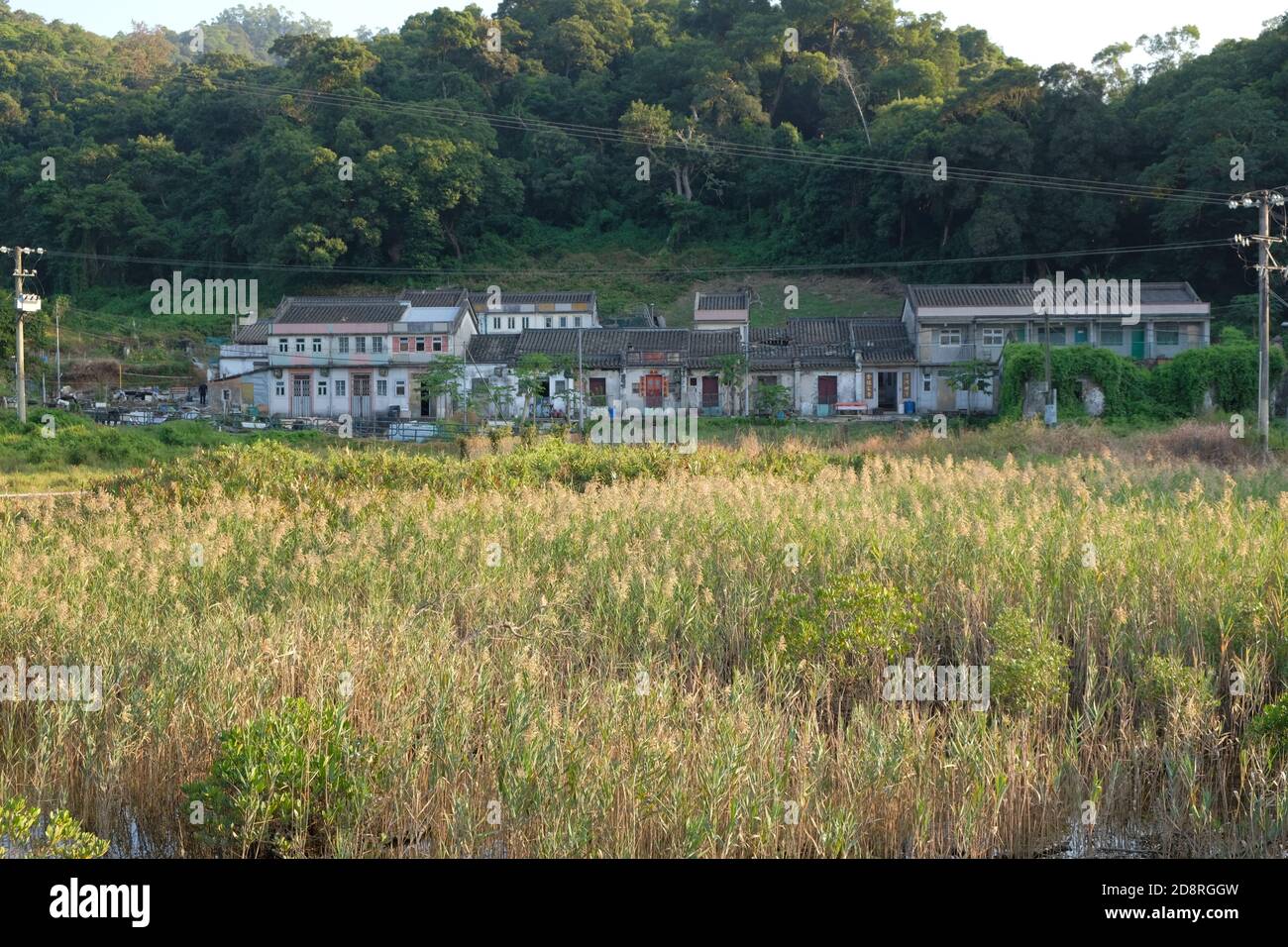 Remote Village, New Territories, Field, Traditional Chinese Village