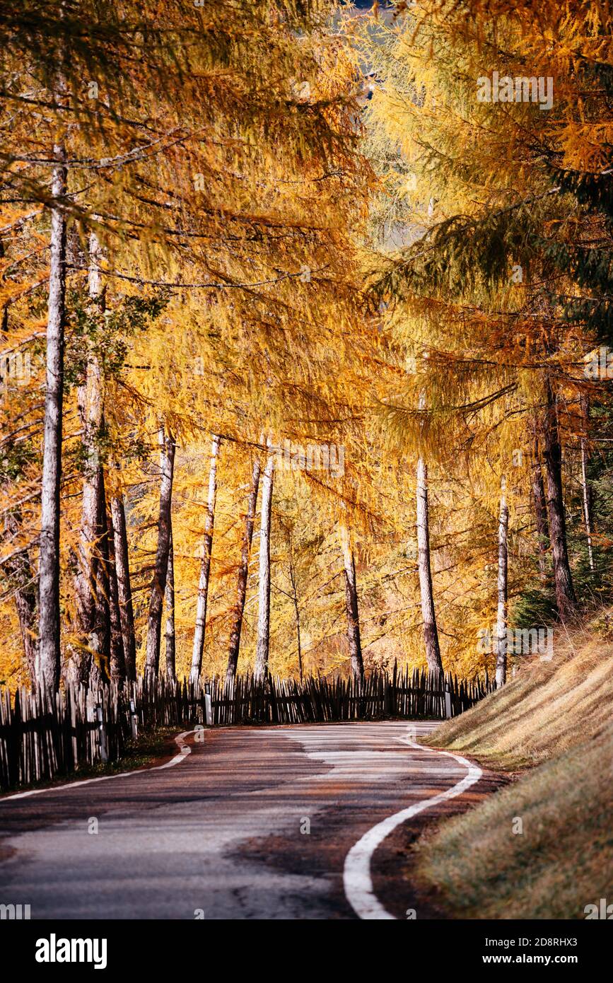 Funes Valley, Trentino, Italy. Autumn landscape road fall colors.  Stock Photo