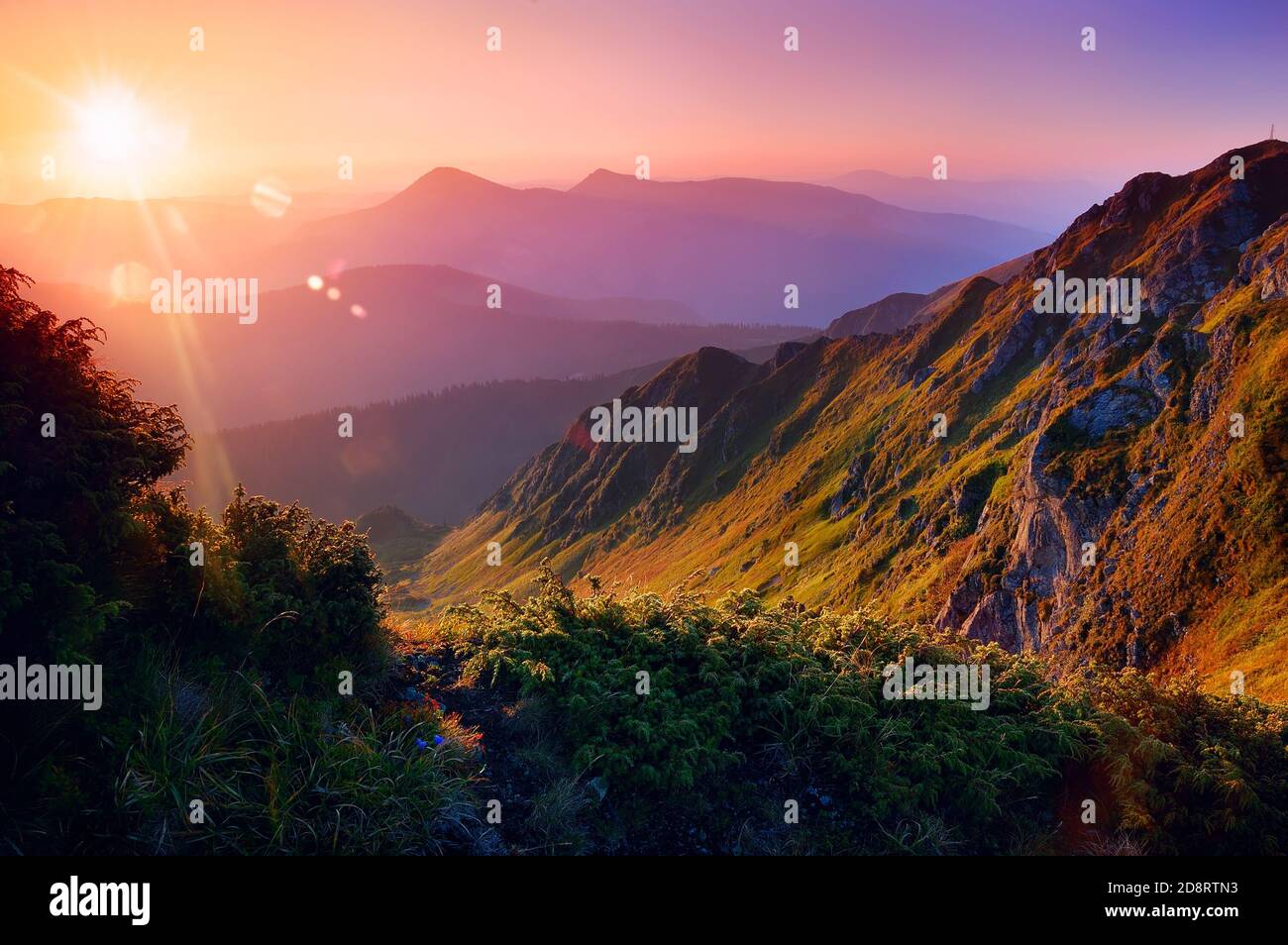 Dawn landscape with sun tree hi-res stock photography and images - Alamy
