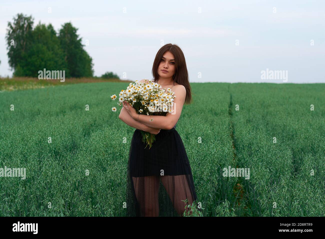 beautiful girl with a bouquet of daisies in a field of flowers Stock ...