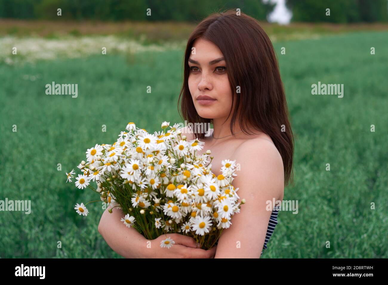 beautiful girl with a bouquet of daisies in a field of flowers Stock ...