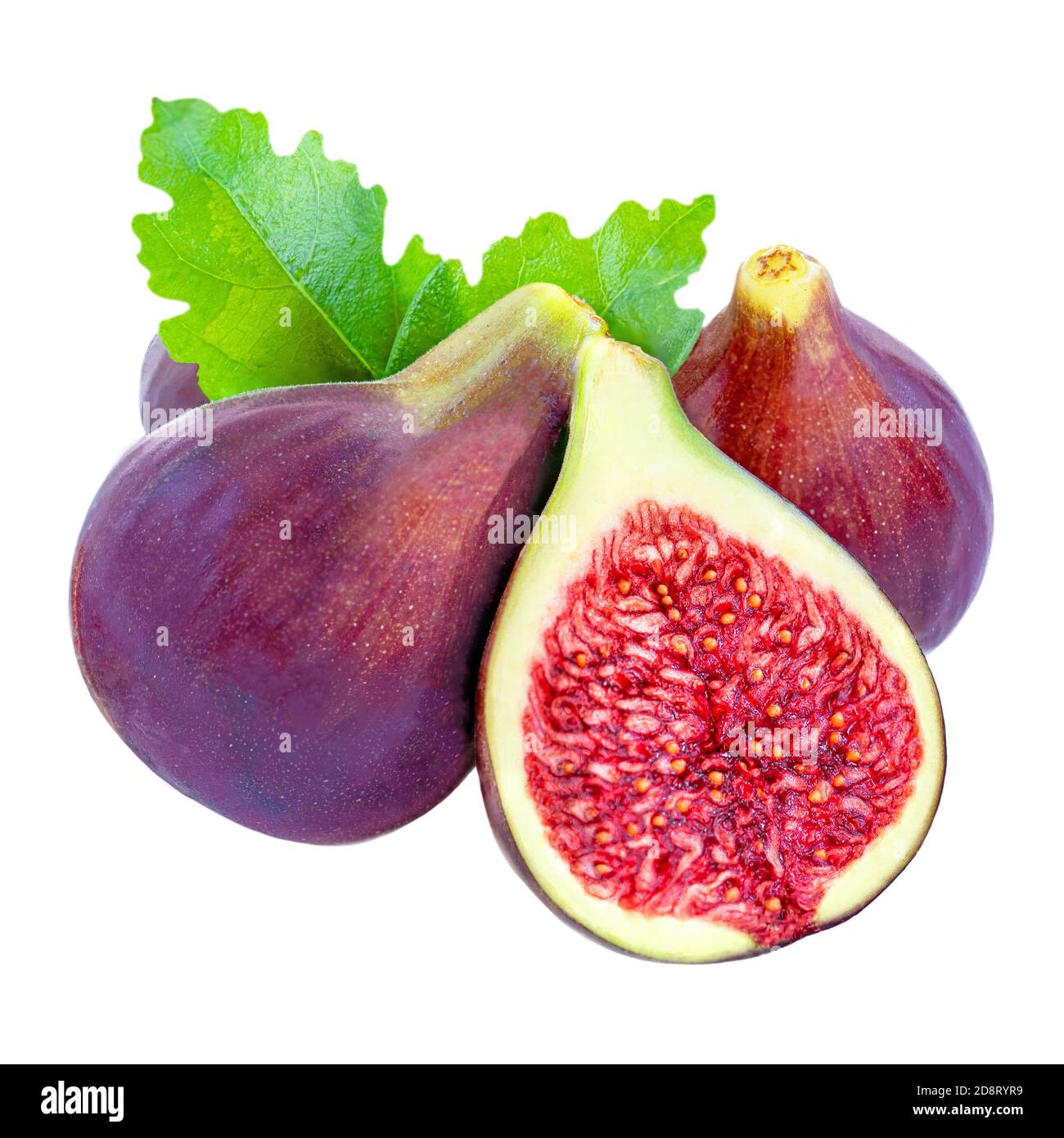 Fresh Figs Fruit. Whole and sliced figs with leaf isolated on white