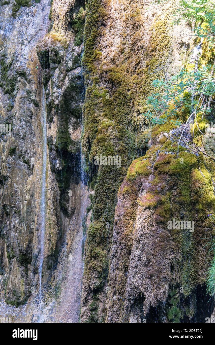 Moss and rivulets on the steep walls of Gießenbach gorge, Kiefersfelden Stock Photo