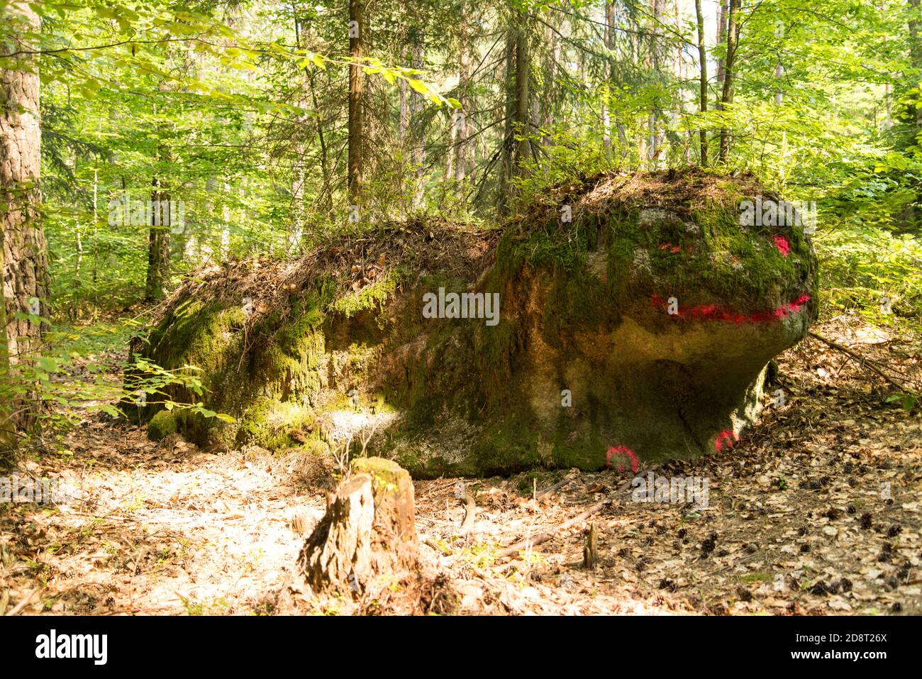 Ein lächelndes Waldmonster an einem Wanderweg im Bayerischen Wald - a smiling monster in the woods near a hiking trail in the Bavarian forest region. Stock Photo