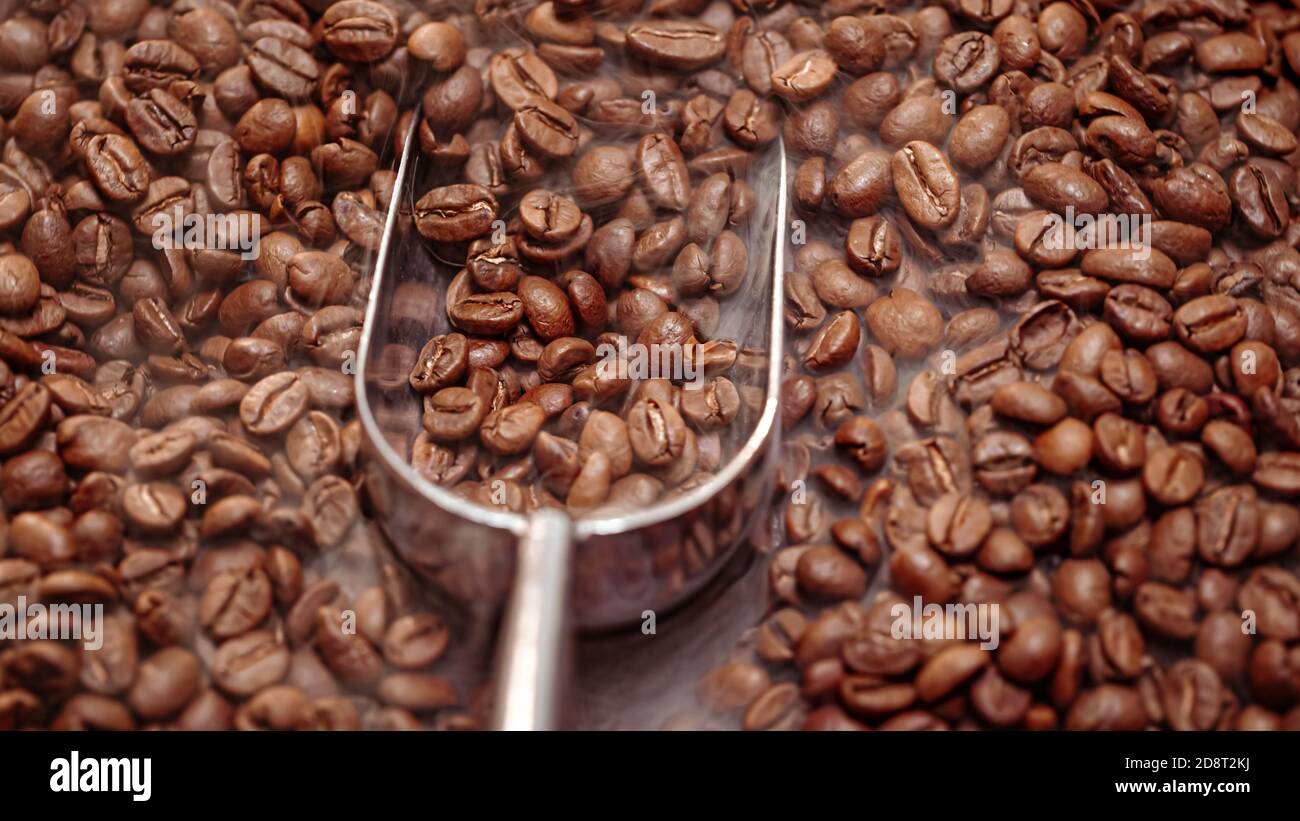 Close up of seeds of coffee. Fragrant coffee beans are roasted smoke comes from coffee beans. Stock Photo