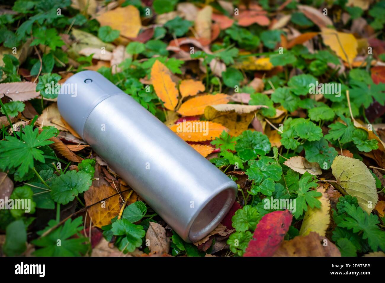 Trash in the form of an antiperspirant spray thrown on the lawn in the autumn foliage Stock Photo