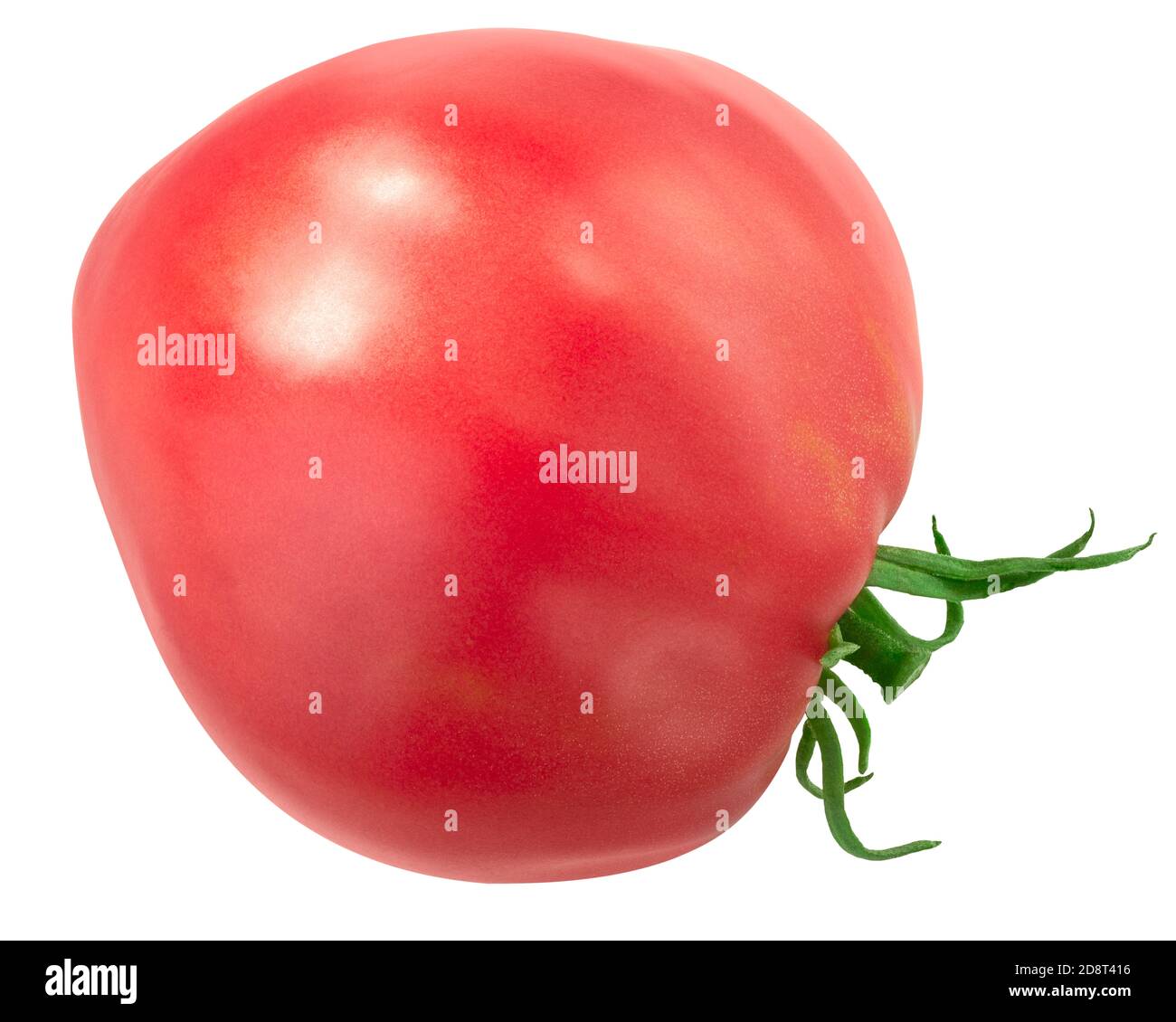 Oxheart pink heirloom tomato (Solanum lycopersicum fruit), top view, isolated Stock Photo