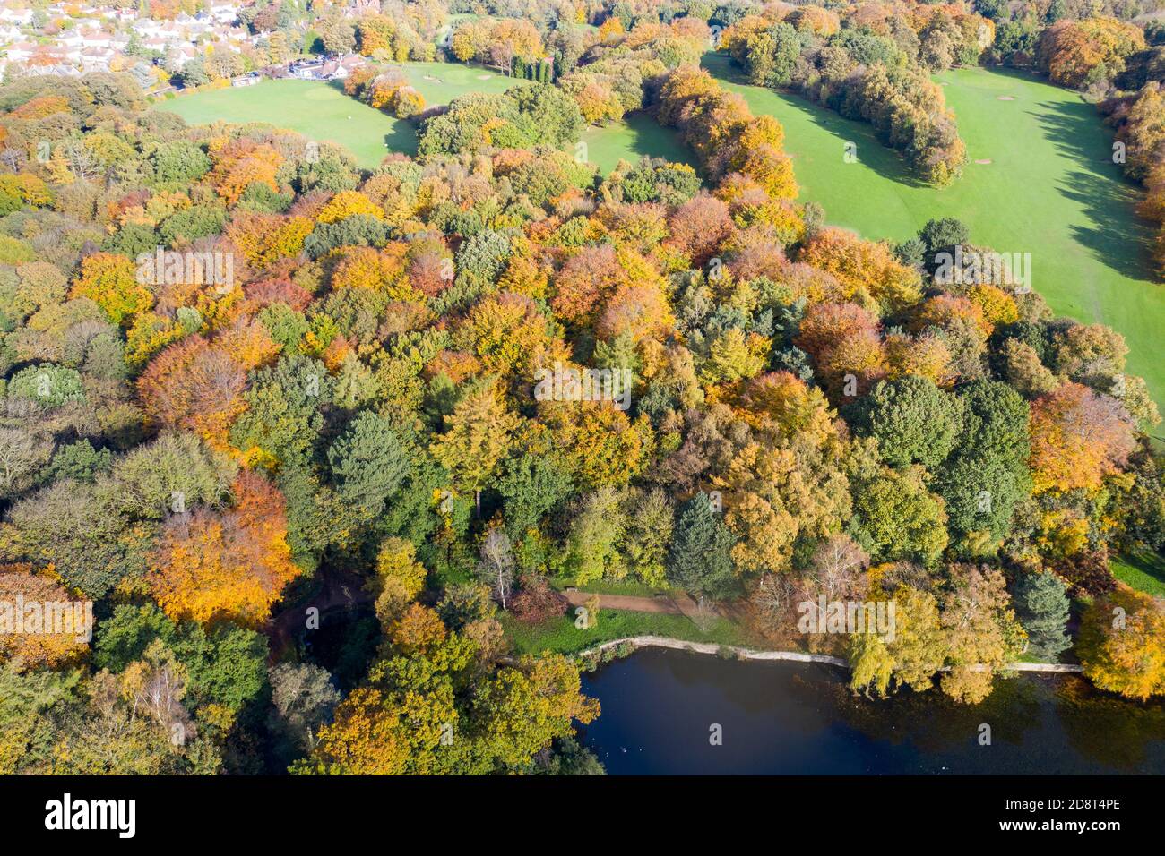 A beautiful aerial photo in the autumn fall at the park in Leeds West Yorkshire known as Roundhay Park showing the brown and green colours on the tree Stock Photo