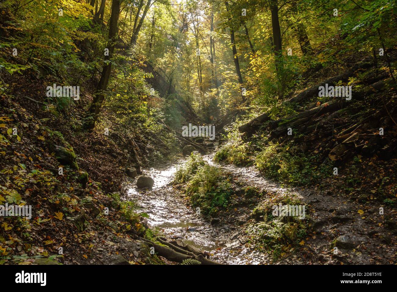 People hiking in the Ram Ravine in the Pilis Mountains of Northern Hungary Stock Photo