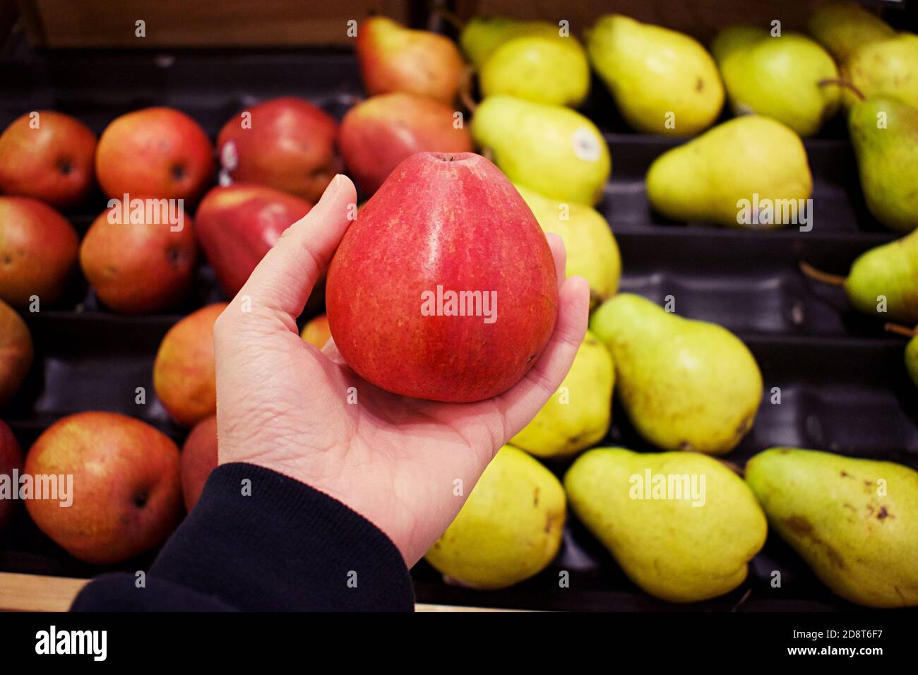 https://c8.alamy.com/comp/2D8T6F7/red-pear-held-in-hand-with-rows-of-fruit-on-display-as-a-blurry-background-2D8T6F7.jpg