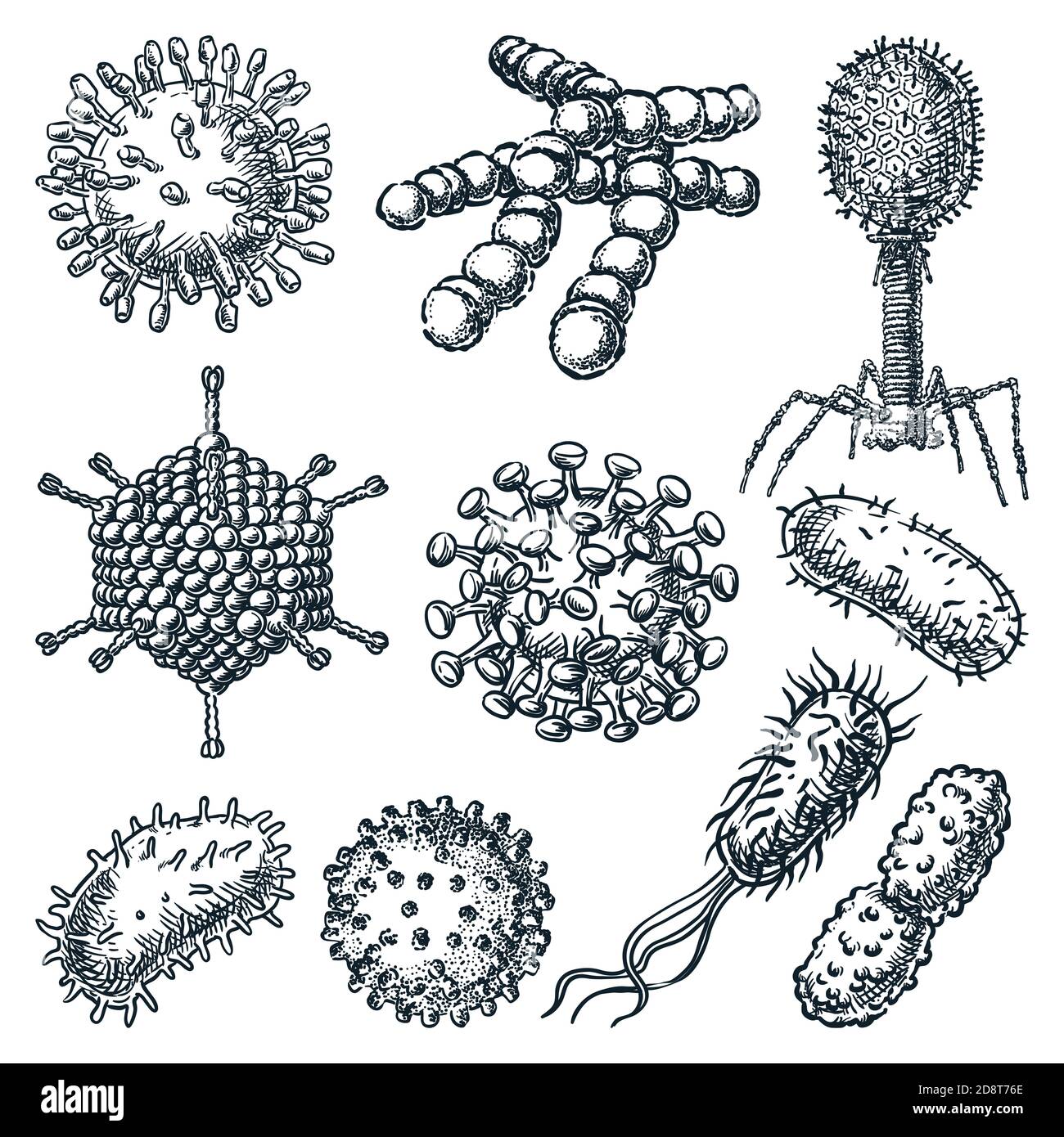 Viruses and bacterium set isolated on white background. Hand drawn vector sketch illustration. Hepatitis, rotavirus, coronavirus, Koch bacillus, HIV a Stock Vector