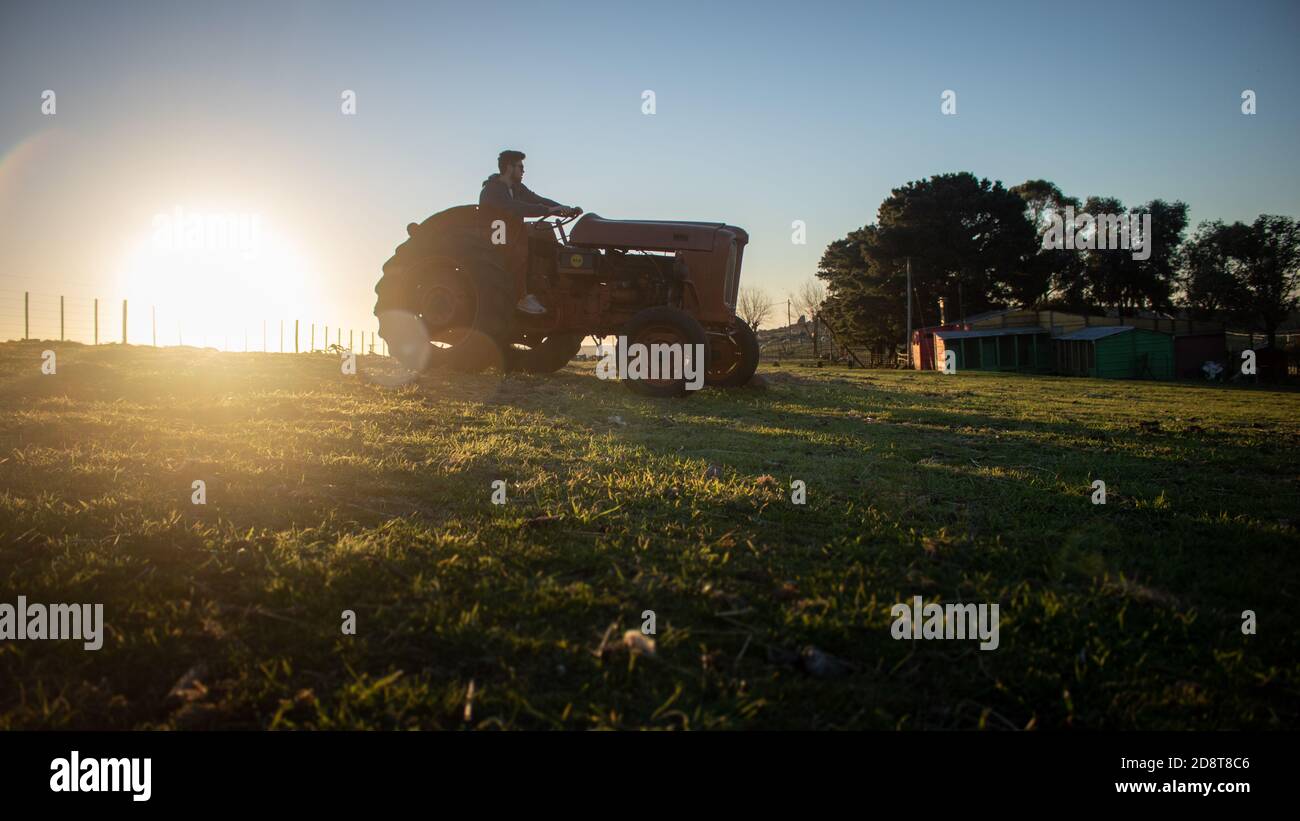 Farmer on a tractor at sunset Stock Photo