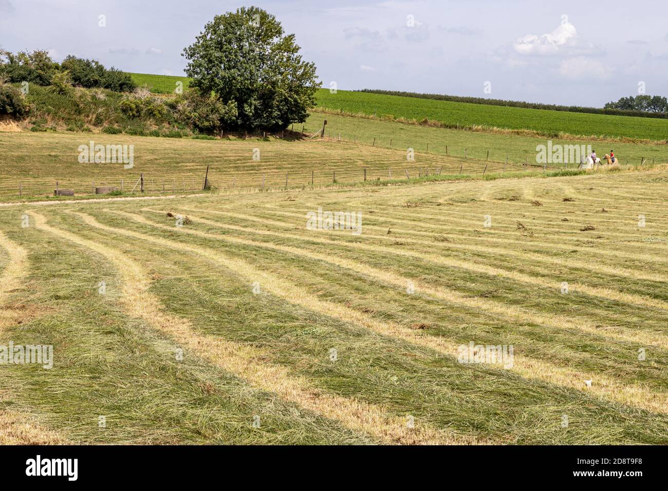 Swath Of Land High Resolution Stock Photography And Images Alamy