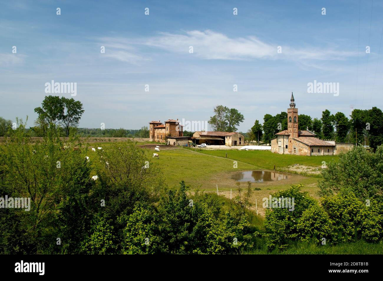 Polesine Parmense (Pr),Emila Romagna,Italy,a farm with cows at pasture and the church of Our Lady of Lordes,protector from floods Stock Photo