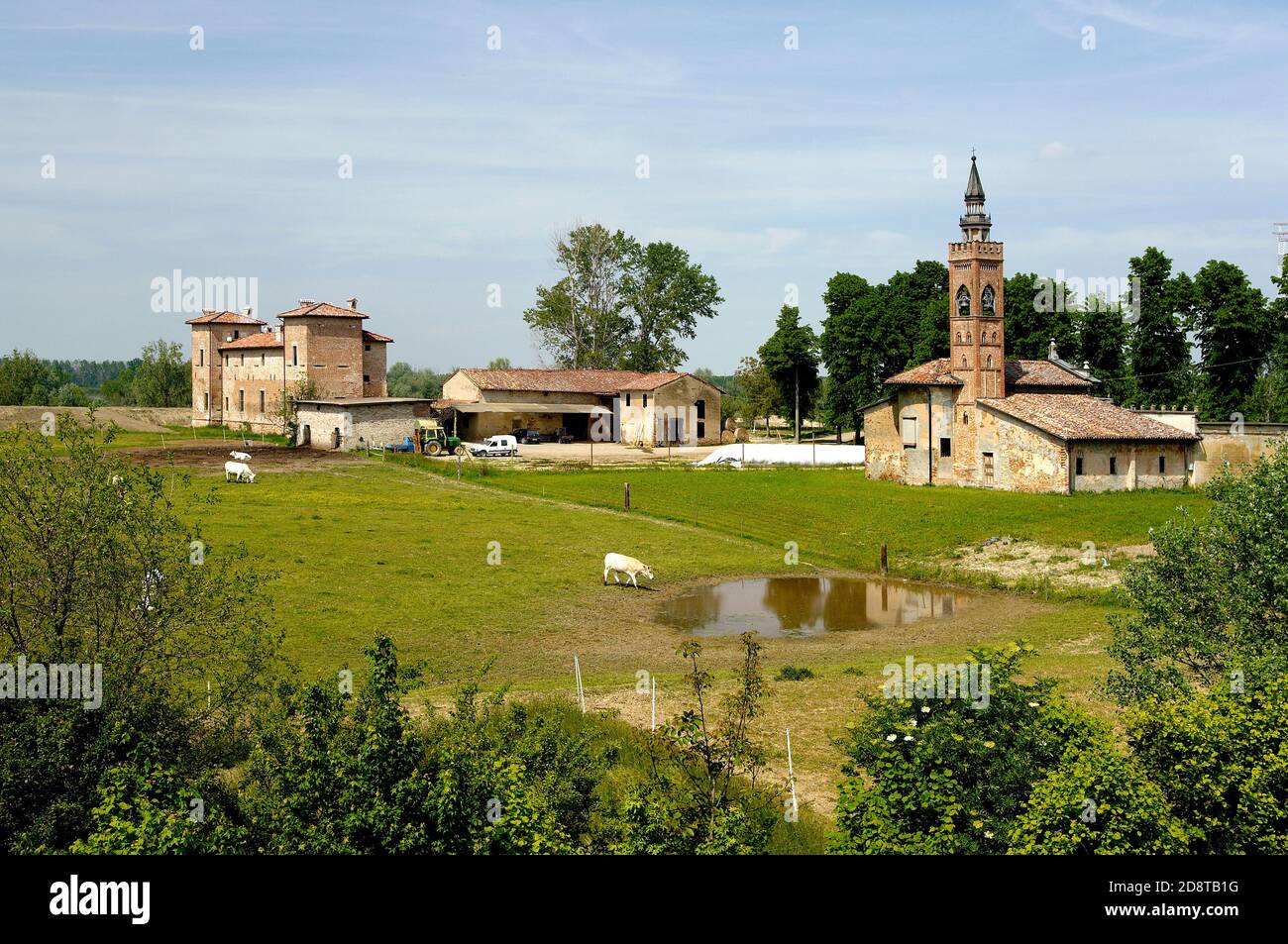 Polesine Parmense (Pr),Emila Romagna,Italy,a farm with cows at pasture and the church of Our Lady of Lordes,protector from floods Stock Photo