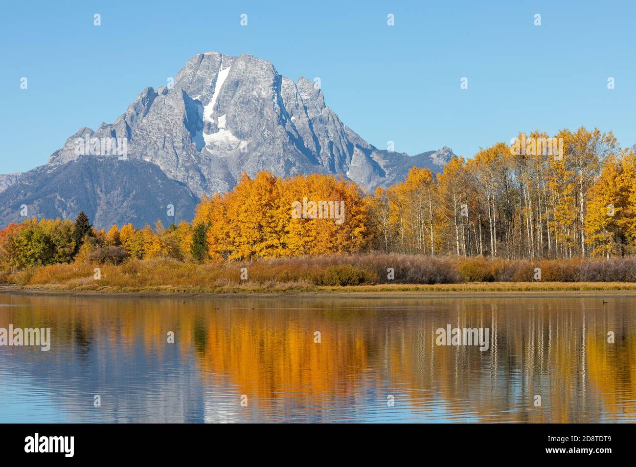 Scenic Reflection Landscape in the Tetons in Autumn Stock Photo - Alamy