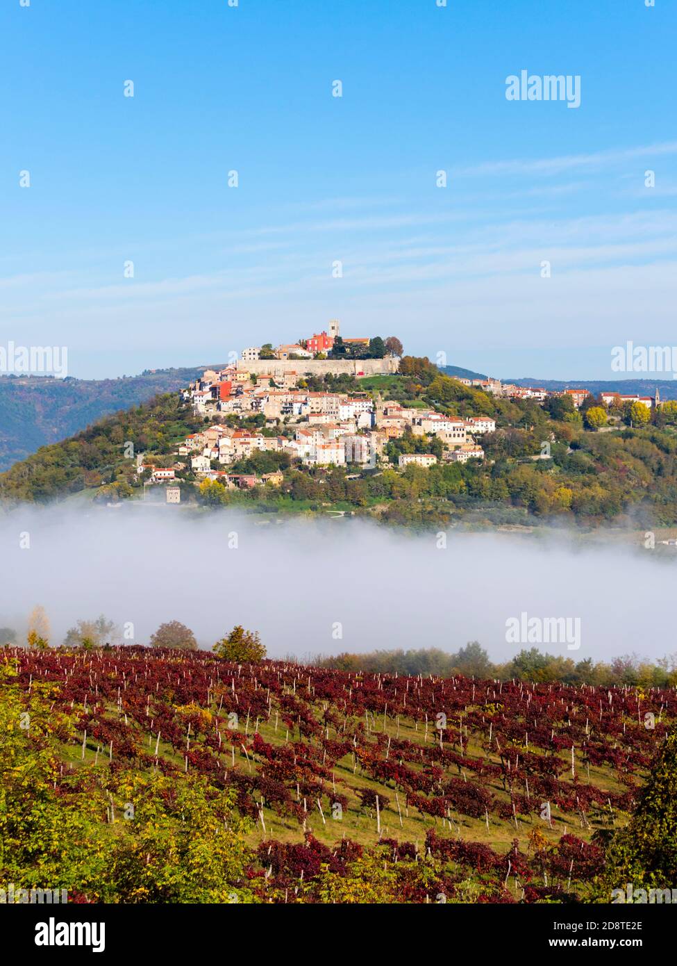 Old town above fog Motovun in Istria Croatia Europe Stock Photo